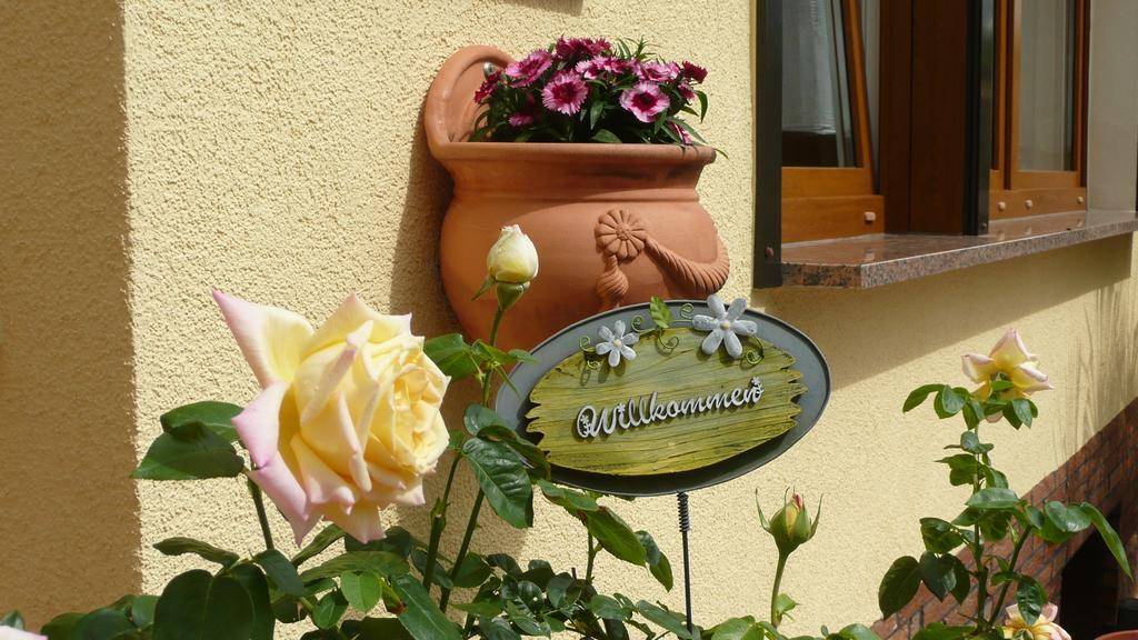 Ferienhaus Weber Bad Frankenhausen Oda fotoğraf